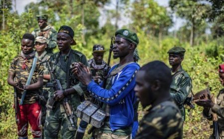 Sondage : Perception de la population sur le mécontentement des Wazalendo